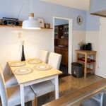 Wohnung Kegelrobbe Bild 18 Wohnung Kegelrobbe Bild 18