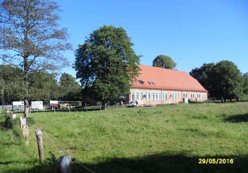 Alter Pferdestall Dreveskirchen 2 Wohnungen (165 m2) Bild 4 Alter Pferdestall Dreveskirchen 2 Wohnungen (165 m2) Bild 4