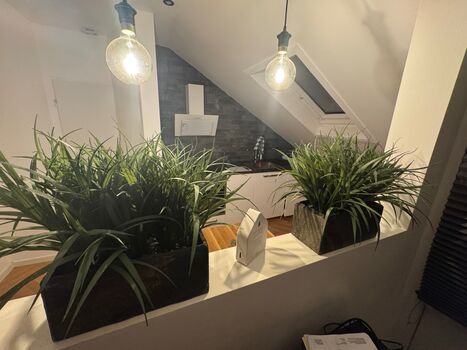 Apartment in Andernach Picture 4 Apartment in Andernach Picture 4