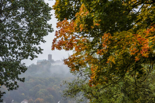 Regina`s Domizil Regina`s Domizil