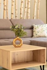 Rhön und Relax Ferienhaus/Terrasse/Kinderzimmer/Whirlpool Bild 6 Rhön und Relax Ferienhaus/Terrasse/Kinderzimmer/Whirlpool Bild 6