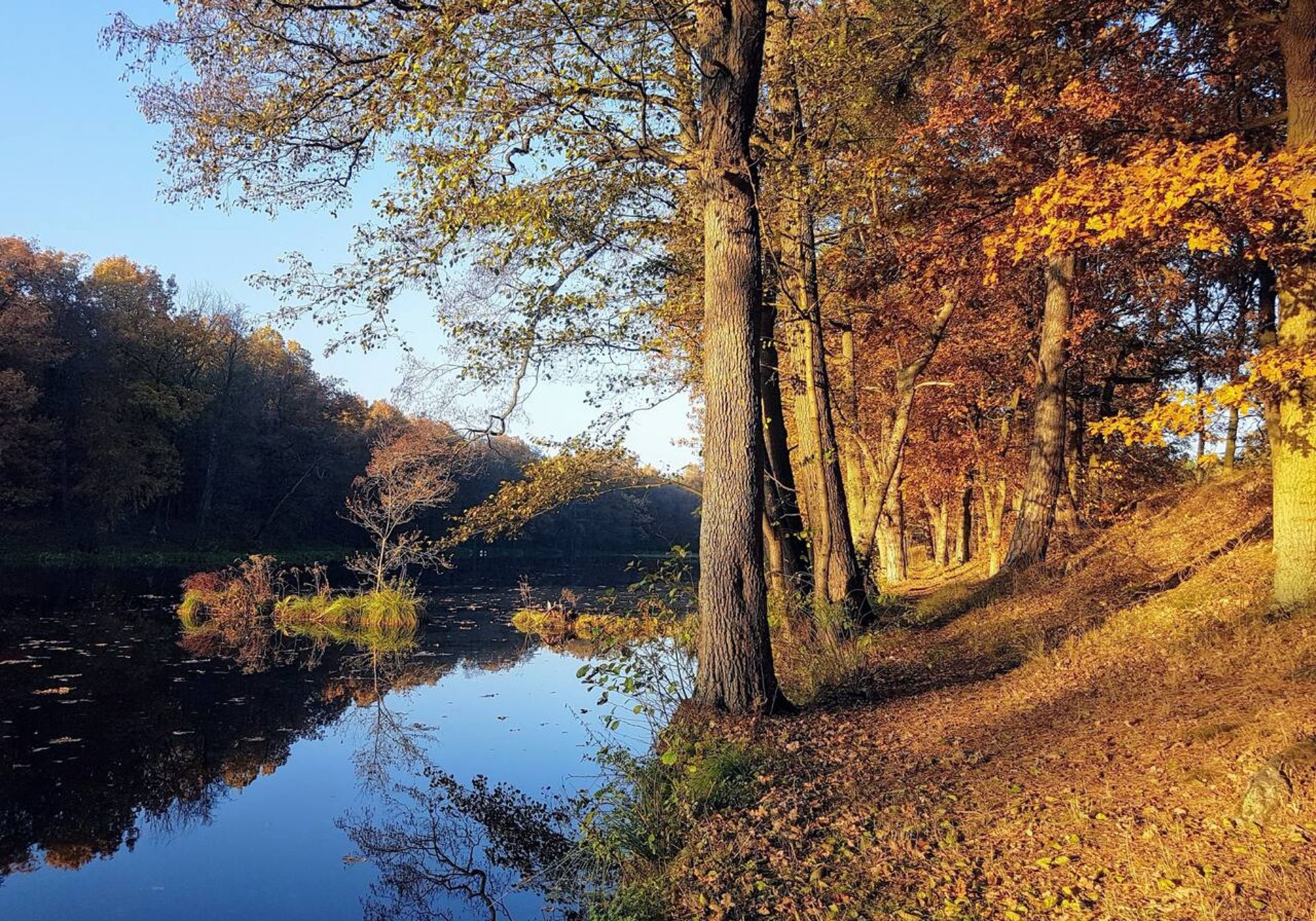 Zdjęcie 3 Zdjęcie 3