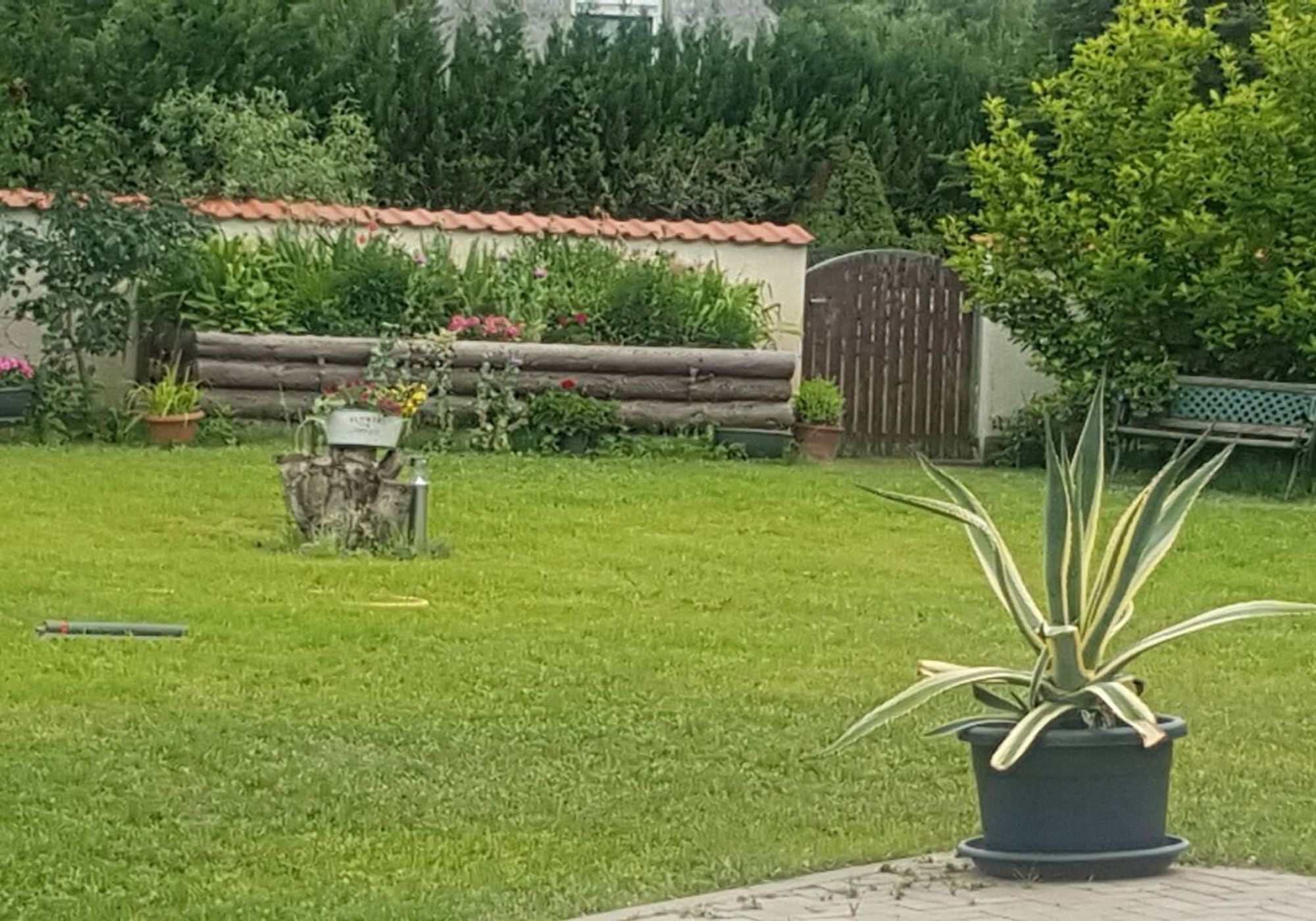 Zdjęcie 4 Zdjęcie 4