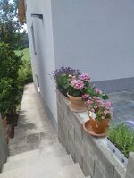 Terrassenwohnung "Rhönblick" Bild 6 Terrassenwohnung "Rhönblick" Bild 6