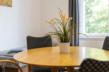 FLEX Aparts - große, möblierte 3-Raum Wohnung in Zwickau Bild 3 FLEX Aparts - große, möblierte 3-Raum Wohnung in Zwickau Bild 3