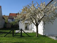 Pfeiffer´s Ferienwohnung Bild 9 Pfeiffer´s Ferienwohnung Bild 9