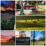 Hof Kolb RANCHHAUS und Ferienhaus Bild 3 Hof Kolb RANCHHAUS und Ferienhaus Bild 3