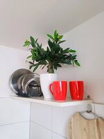 Guestroom in Rietheim Picture 25 Guestroom in Rietheim Picture 25