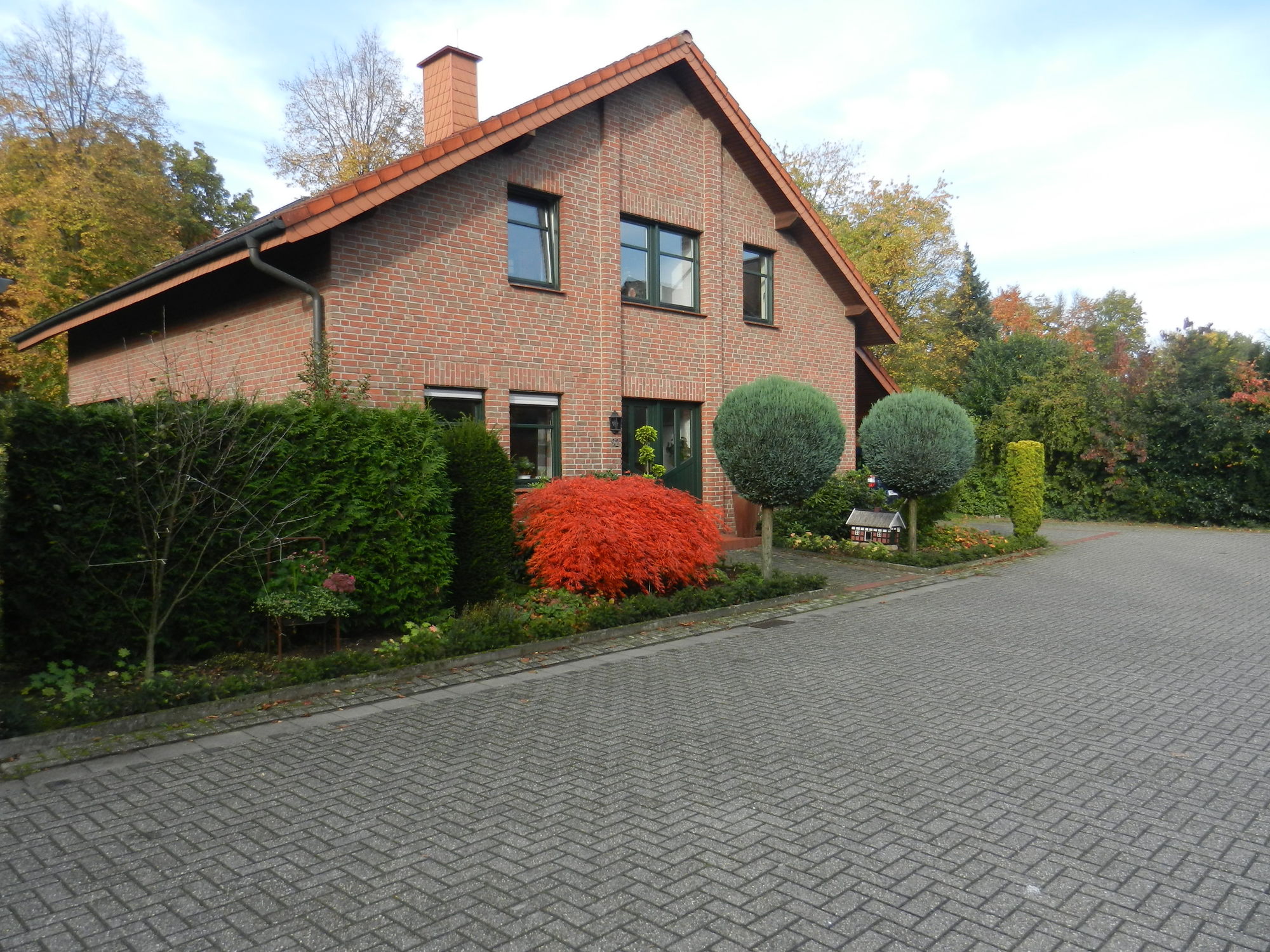 Zdjęcie 1 Zdjęcie 1