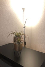 Wohnung In Der Meile Bild 13