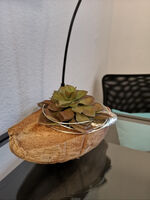 Wohnung In Der Meile Bild 16
