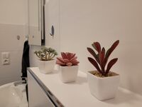 Wohnung 2