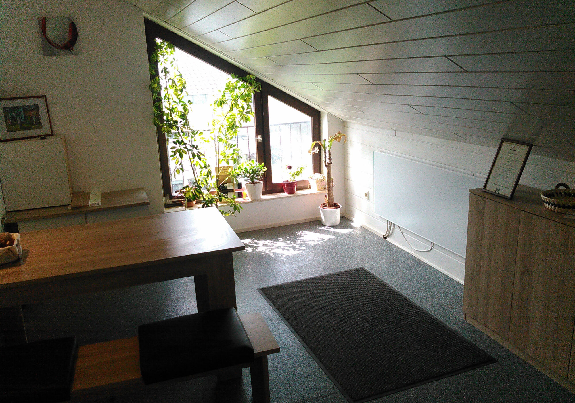 Picture 5
