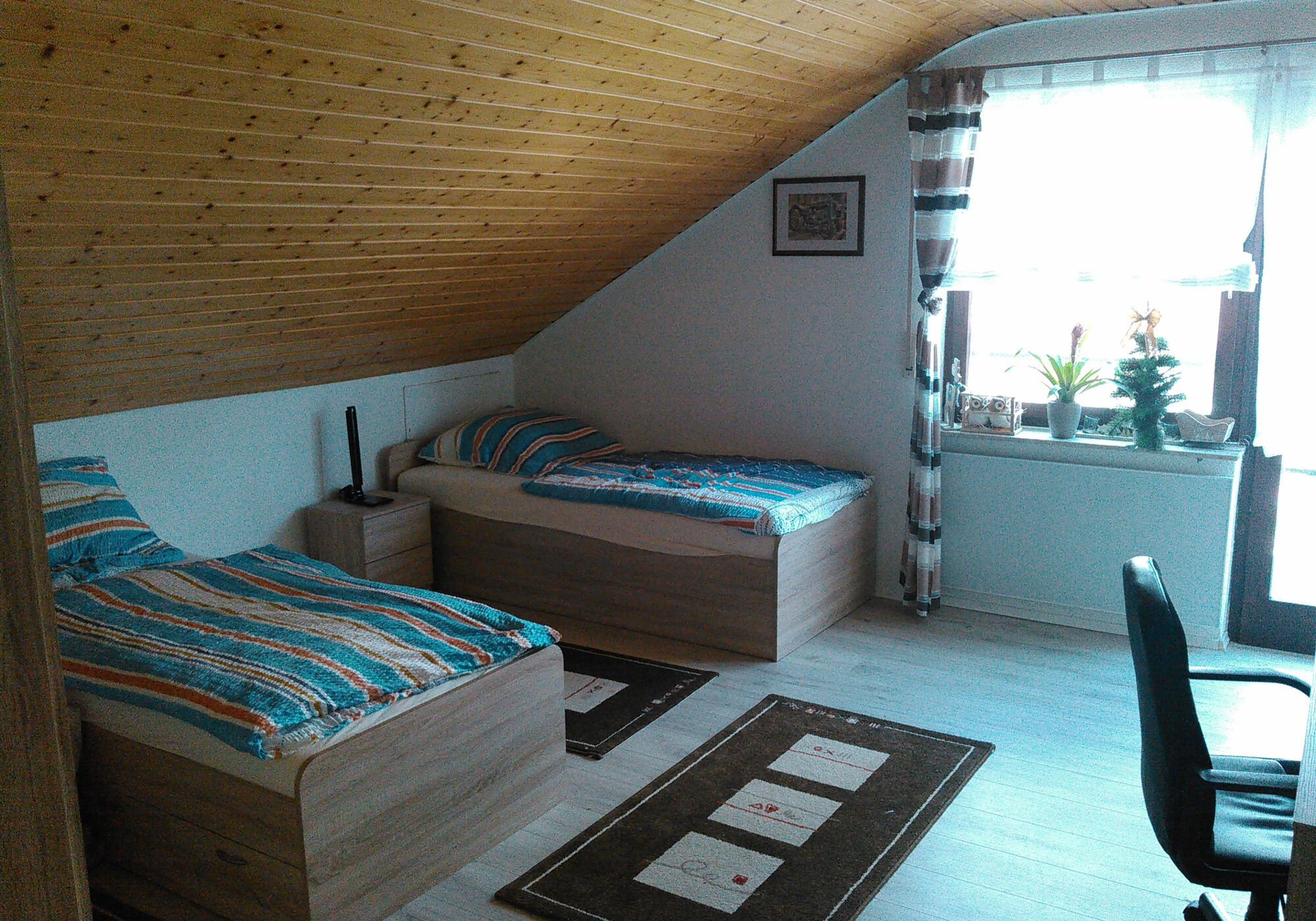 Picture 4