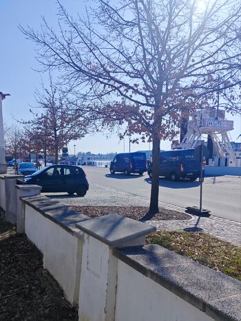 An der Hafenkante Usedom Picture 2