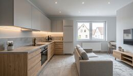 Business Apartment Langenau Picture 2