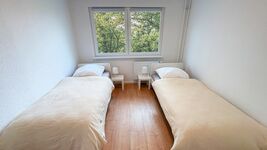 Einzelbetten, WLAN, Küche, Parkplatz, TV - ganze Wohnung Picture 3