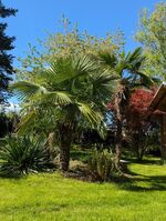 Ferienhaus Königsnase Sächsische Schweiz Zdjęcie 15