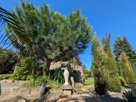 Ferienhaus Königsnase Sächsische Schweiz Zdjęcie 16