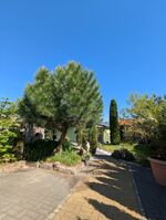 Ferienhaus Königsnase Sächsische Schweiz Zdjęcie 17