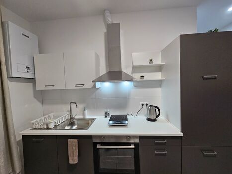 Borsig Apartment Picture 4