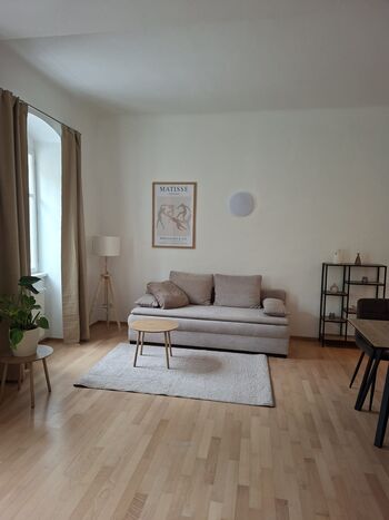 Central Apartment Steyr