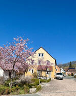 Steigerwald Ferienwohnungen Hofmann Obrázok 12