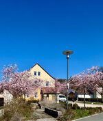 Steigerwald Ferienwohnungen Hofmann Obrázok 13