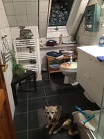 Casa Cerasum 1 Obrázok 5