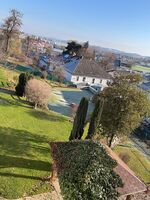 Gästezimmer Steinakirchen am Forst Bild 8