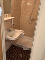 Gästezimmer Steinakirchen am Forst Bild 5