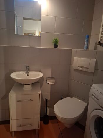 Wohnung mit Grillmöglichkeit in Müglitztal Picture 5