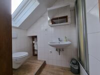 Zwischen Stadt und Natur Bild 7