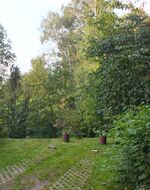 Müllers Ferienhaus Landau Bild 14