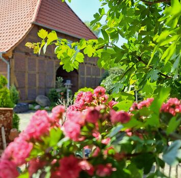 Muttis Landhof- Neue Apartments in Ummern (LK- GF) Obrázok 2