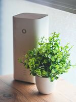 Recklinghausen WLAN - Smart-TV - 24-7 Check-in und Küche Bild 6