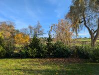 2 Apartments neu - Schuster Bild 20