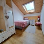 Ferienwohnung für eine Person o. Ferienhaus für 4-6 Personen Bild 18