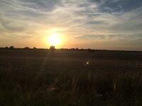 silentsun net Bild 10