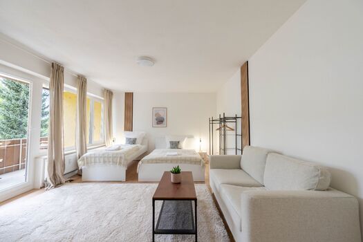 BackHome - BUSINESS APARTMENT - Parken, 3-Zimmer, SmartTV Picture 2