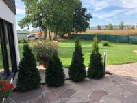 Villa Max und Moritz Bild 8