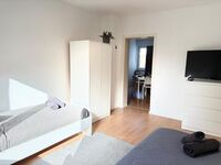 CosyHomes24 (GE09c) • Highspeed Wifi • Balkon• Stellplatz Picture 4