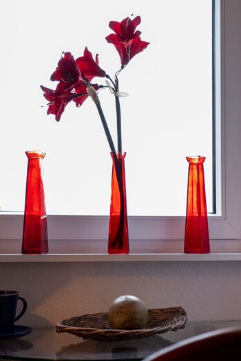 Blick in's Taubenzimmer