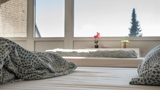 Apartment in Hannover Picture 5