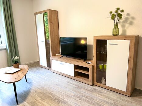 Wolfen-Apartments: Studio-Apartment mit Schlafsofa Obrázok 2