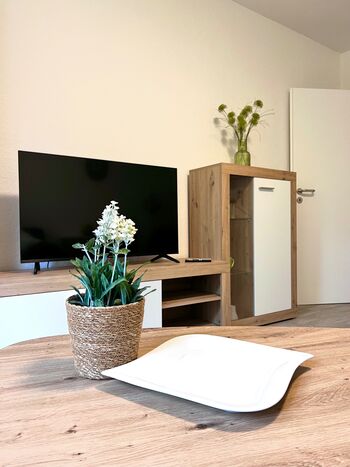 Wolfen-Apartments: Studio-Apartment mit Schlafsofa Obrázok 4