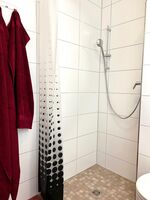 Wolfen-Apartments: Studio-Apartment mit Schlafsofa Bild 3