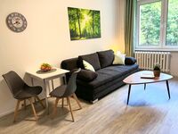 Wolfen-Apartments: Studio-Apartment mit Schlafsofa Bild 1