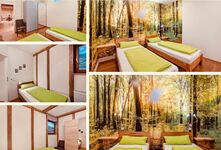 Sehr gut ausgestattete, neue Wohnung in Kappelrodeck Picture 5