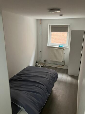 Raangs Vastgoed Temporary Rental Houses for Your Personnel Picture 3